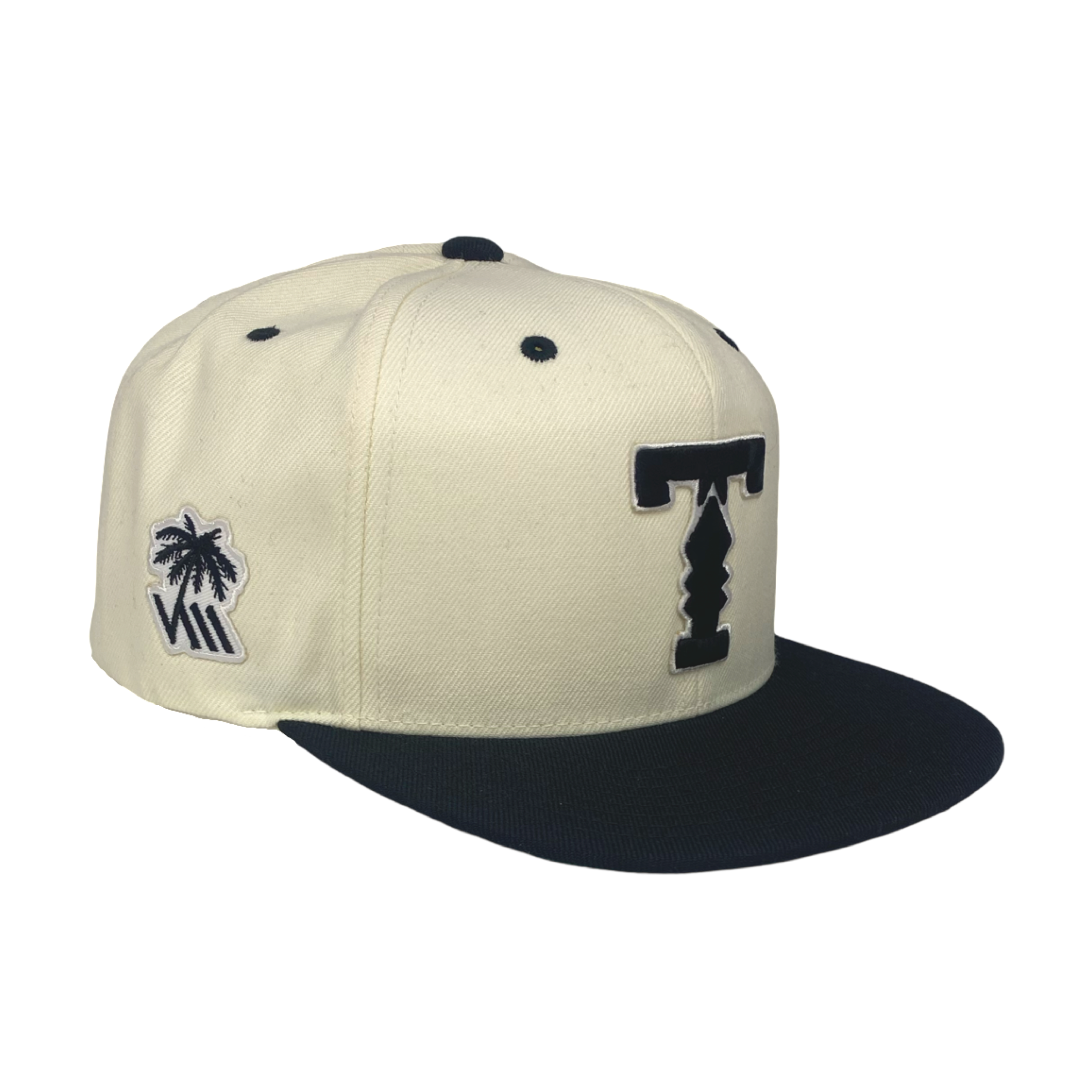 T snapback Black/Natural